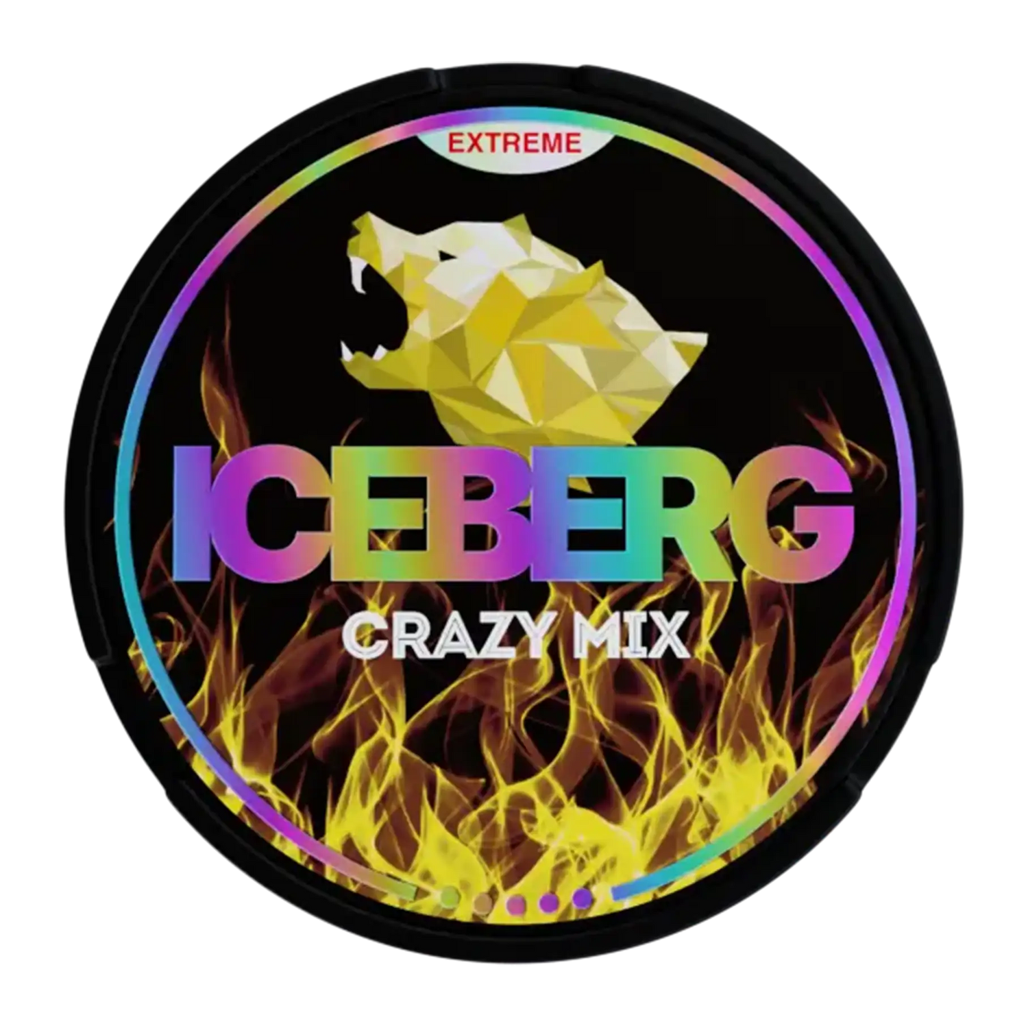 Iceberg