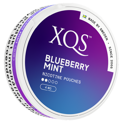 XQS Blueberry Mint 4mg